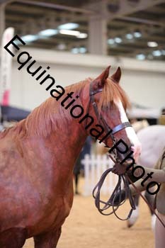 ERB-6567
