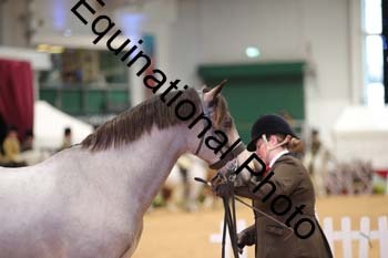 ERB-6568