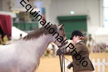 ERB-6569