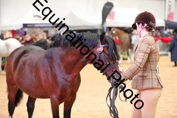 ERB-6591