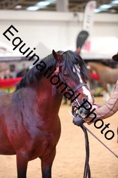 ERB-6592