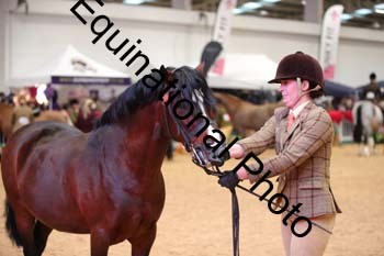 ERB-6596