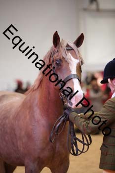 ERB-6604
