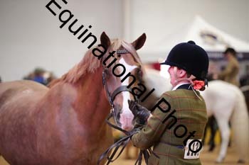 ERB-6609
