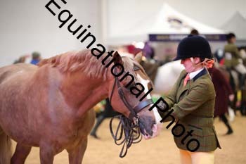 ERB-6611