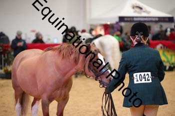 ERB-6615