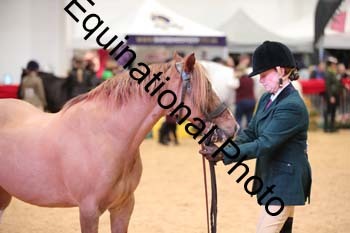 ERB-6621