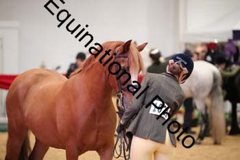 ERB-6643