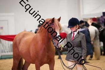 ERB-6649