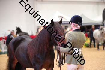 ERB-6677