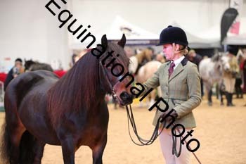 ERB-6678