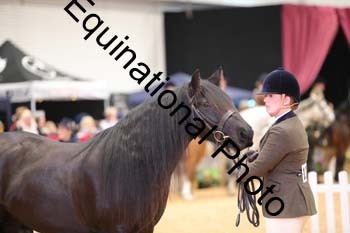 ERB-6682