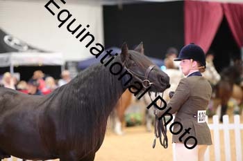 ERB-6683