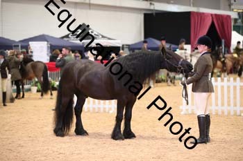 ERB-6684