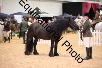 ERB-6685