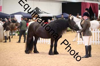 ERB-6686