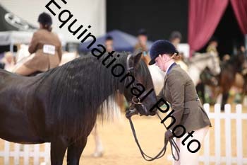 ERB-6687