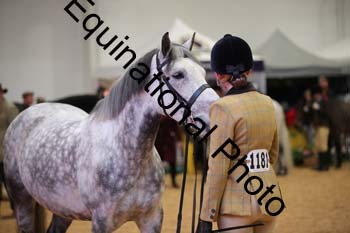 ERB-6691