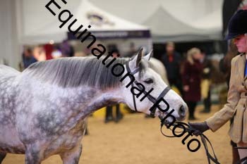 ERB-6696