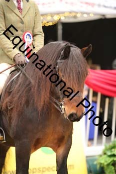 ERB-6843