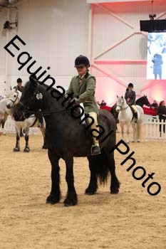 ERB-6916