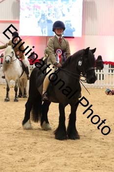 ERB-6926