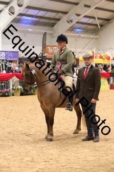 ERB-6936