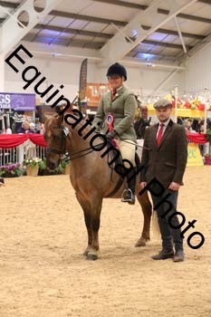 ERB-6937