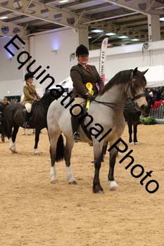 ERB-6981