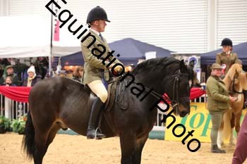 ERB-6999