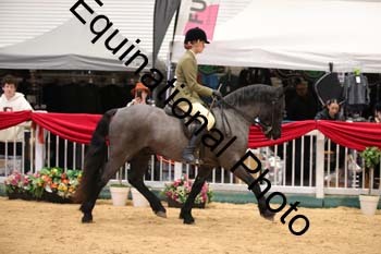 ERB-7064