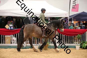 ERB-7094
