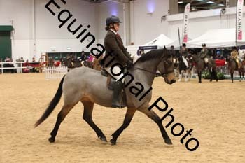 ERB-7307