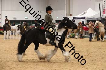 ERB-7316