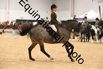 ERB-7360