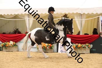 ERB-7398
