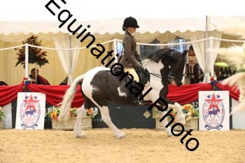 ERB-7399