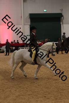 ERB-7406
