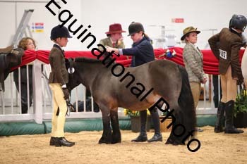 ERB-7519