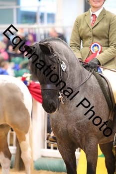 ERB-7588