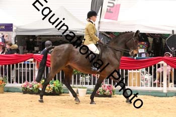 ERB-7715