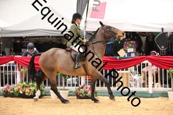 ERB-7738