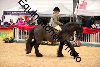 ERB-7749