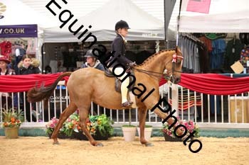 ERB-7754