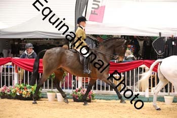 ERB-7756