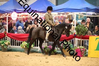 ERB-7792