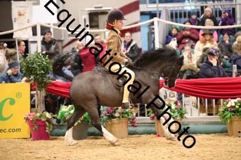 ERB-7802