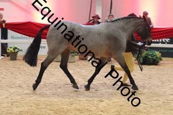 ERB-7838