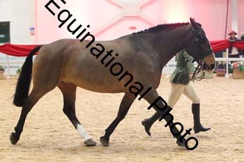 ERB-7843