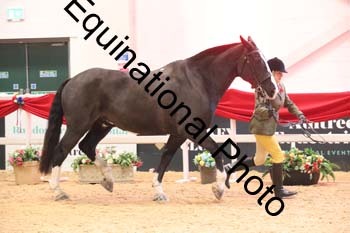 ERB-7844